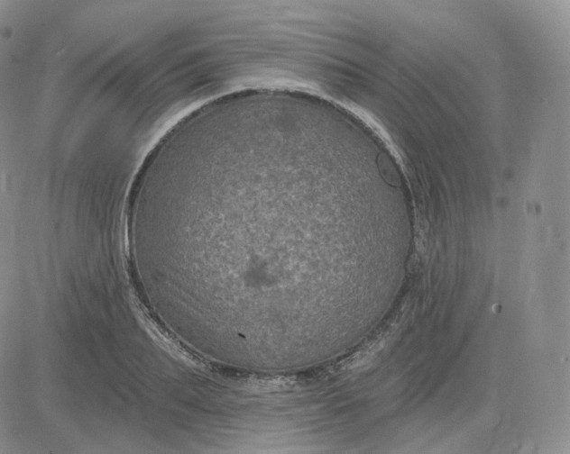 X0000083650887200702261113