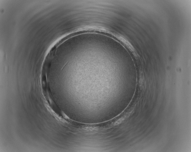 X0000083650888200702261113