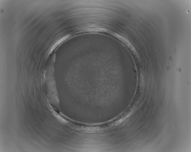 X0000083650889200702261113