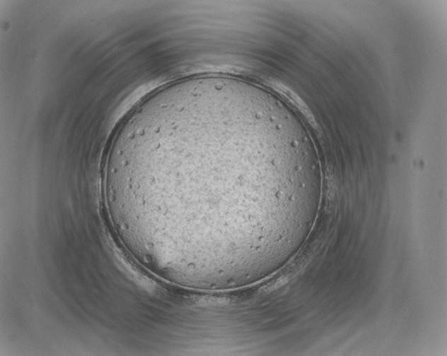 X0000083650890200702261113