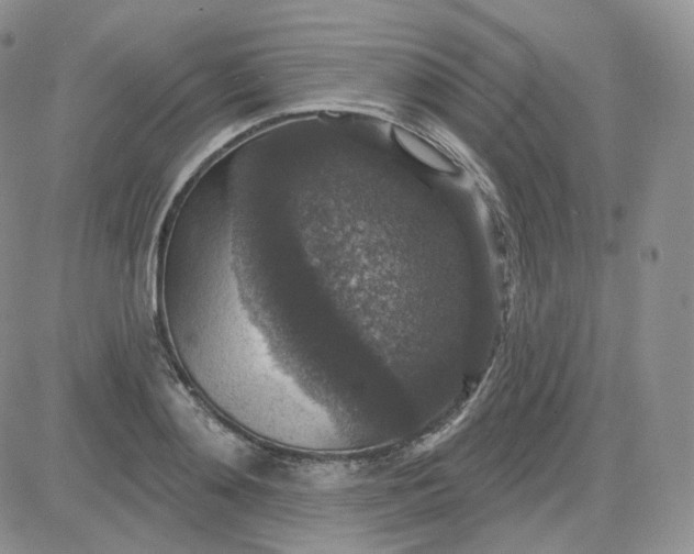 X0000083650892200702261113