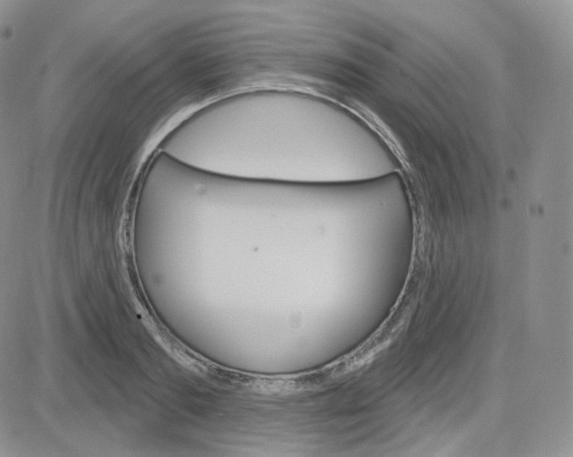 X0000083650893200702261113