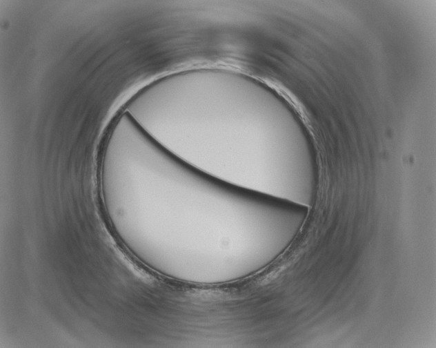 X0000083650894200702261113