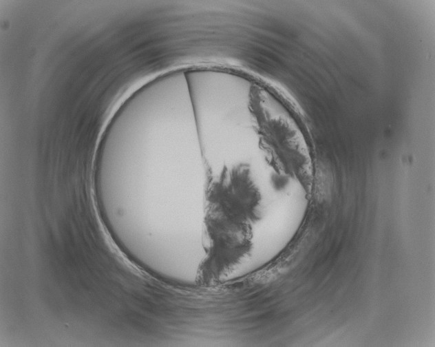 X0000083650895200702261113