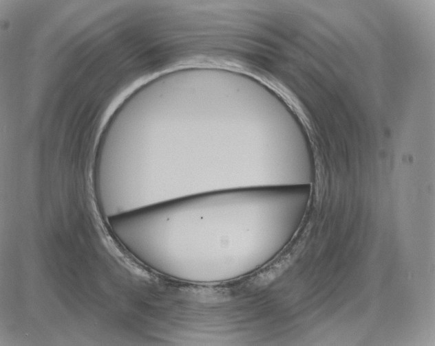 X0000083650896200702261113