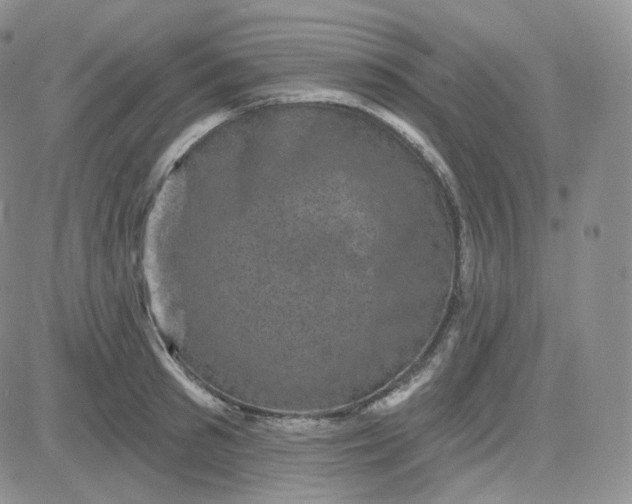 X0000083650897200702261113