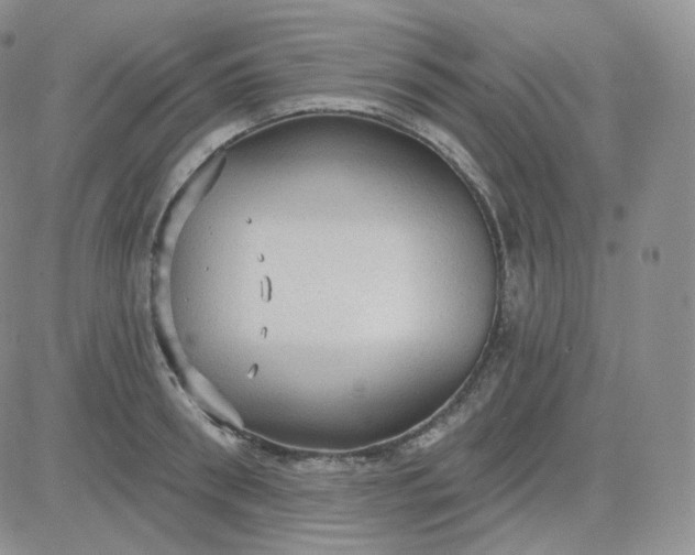 X0000083650898200702261113