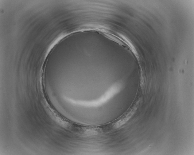 X0000083650899200702261113