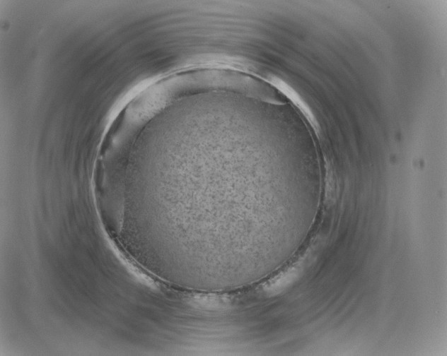 X0000083650901200702261113