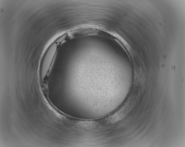 X0000083650902200702261113