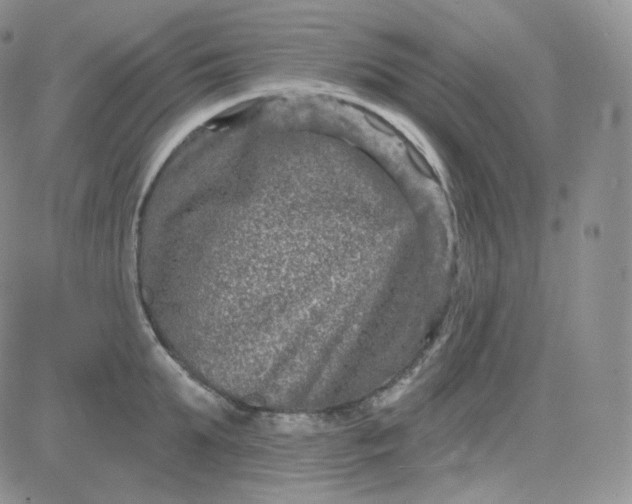 X0000083650903200702261113