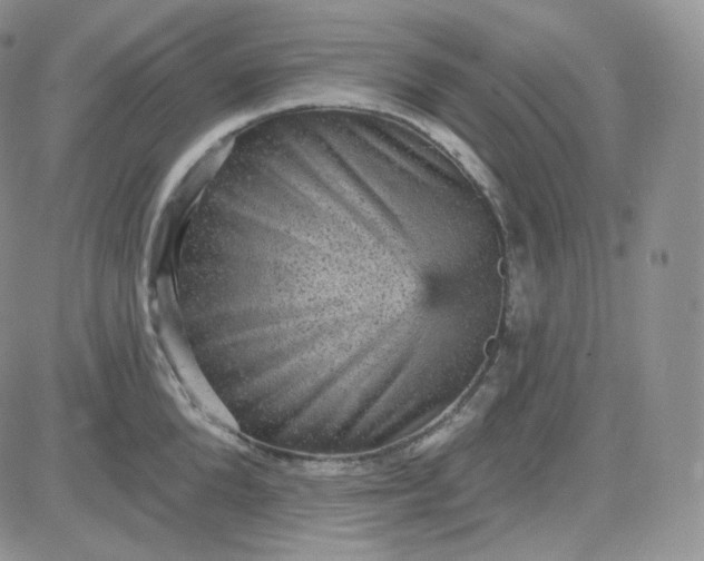 X0000083650904200702261113