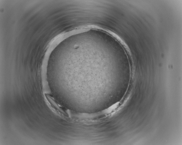 X0000083650905200702261113