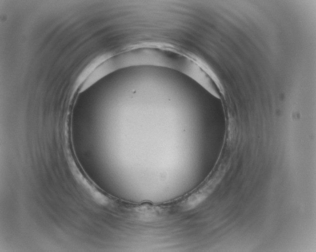 X0000083650906200702261113