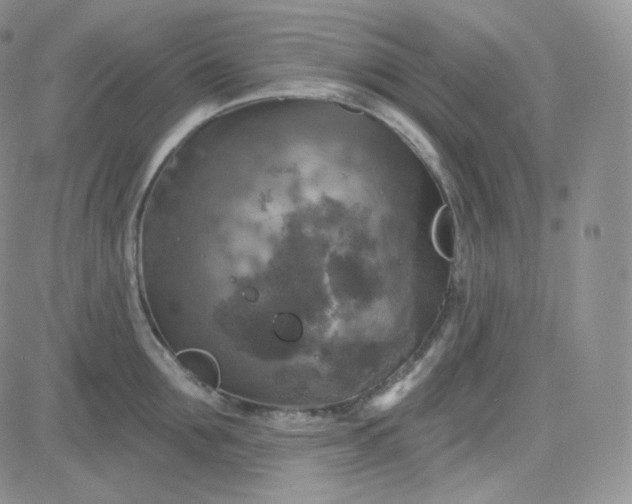 X0000083650907200702261113