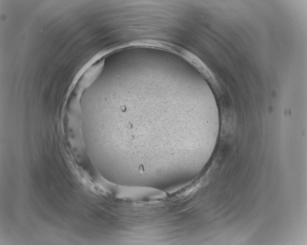 X0000083650908200702261113