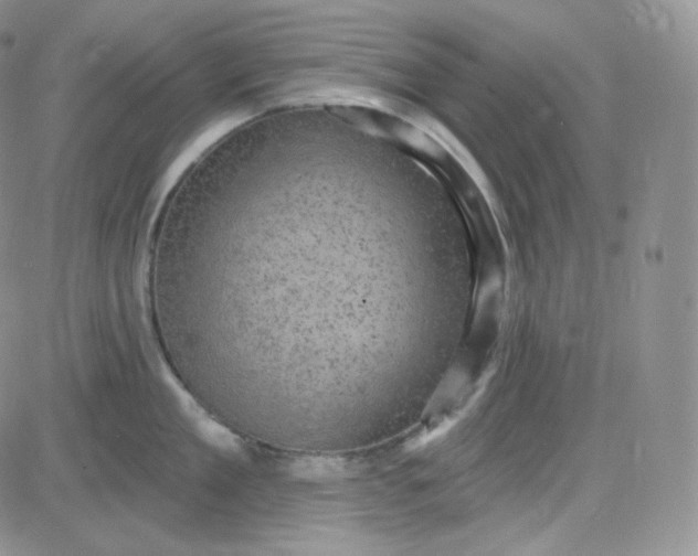 X0000083650909200702261113