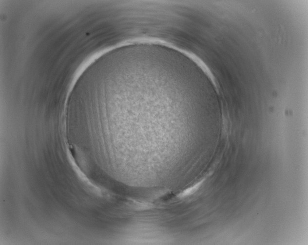 X0000083650911200702261113