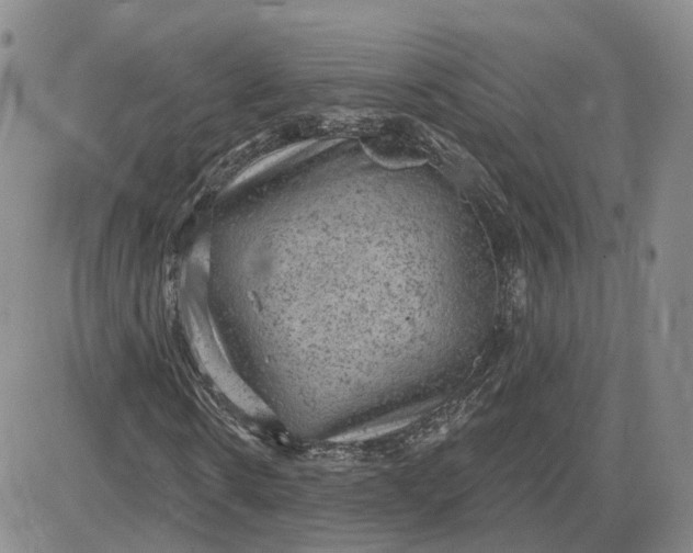 X0000083650914200702261112