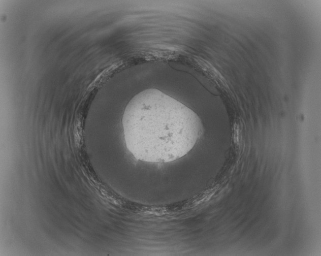 X0000083650915200702261112