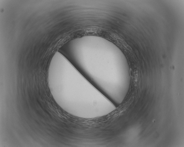 X0000083650916200702261112