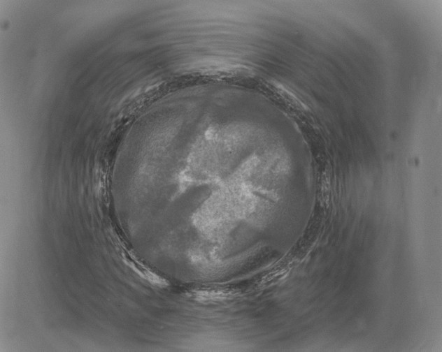 X0000083650917200702261112