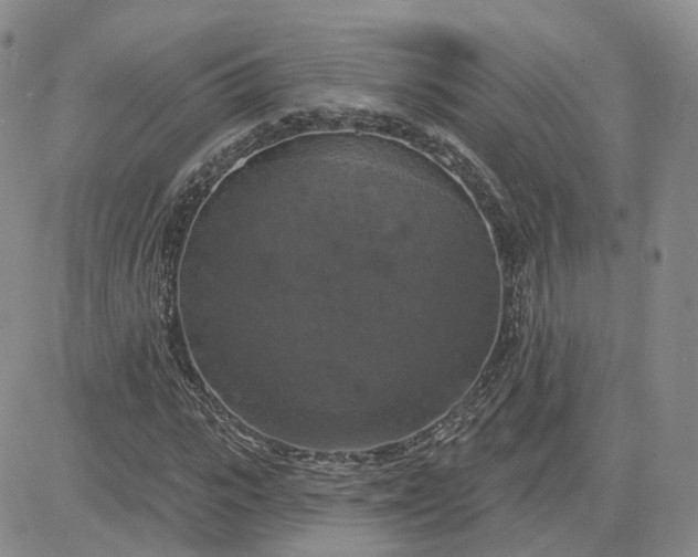 X0000083650919200702261112