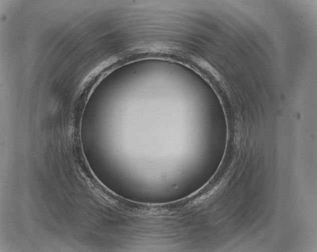 X0000083650922200702261112