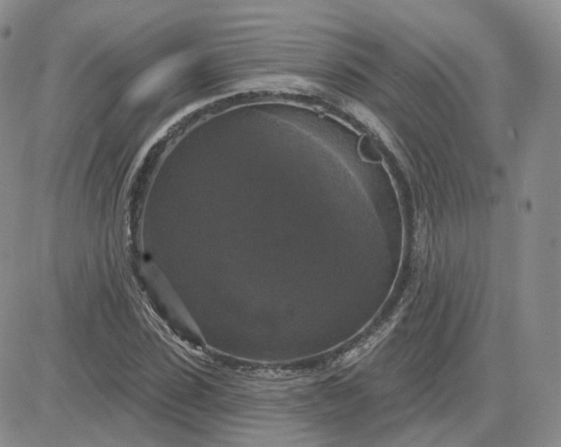 X0000083650923200702261112