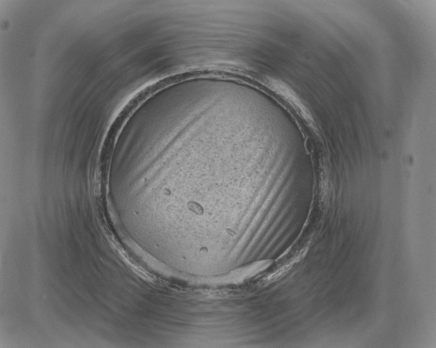 X0000083650924200702261112