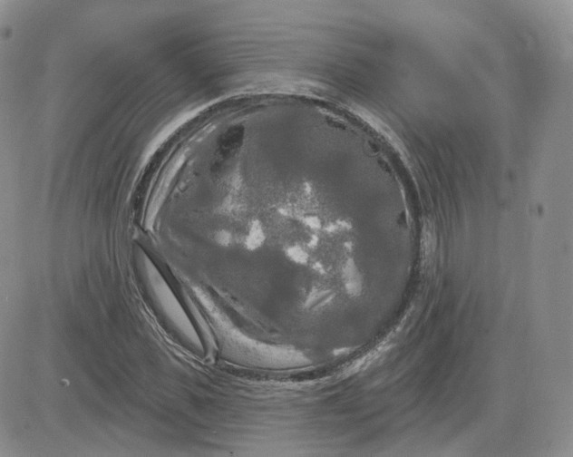 X0000083650925200702261112