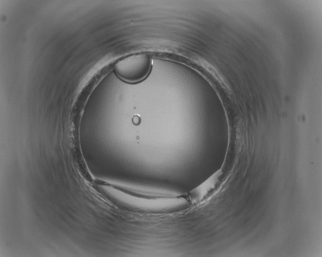 X0000083650926200702261112