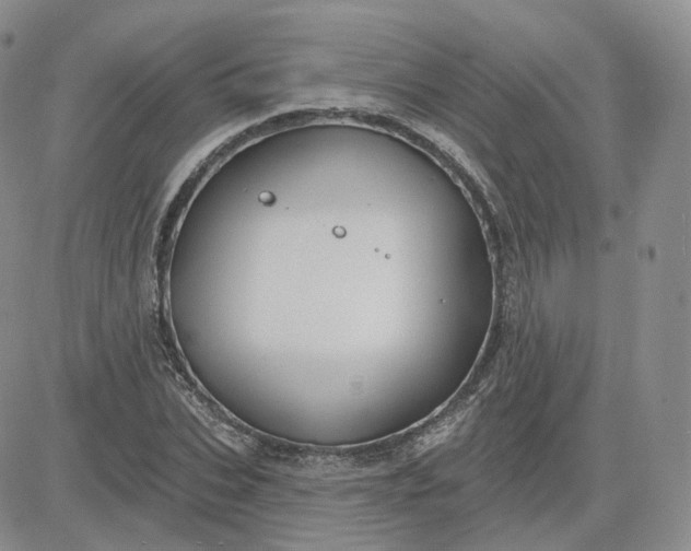 X0000083650927200702261112