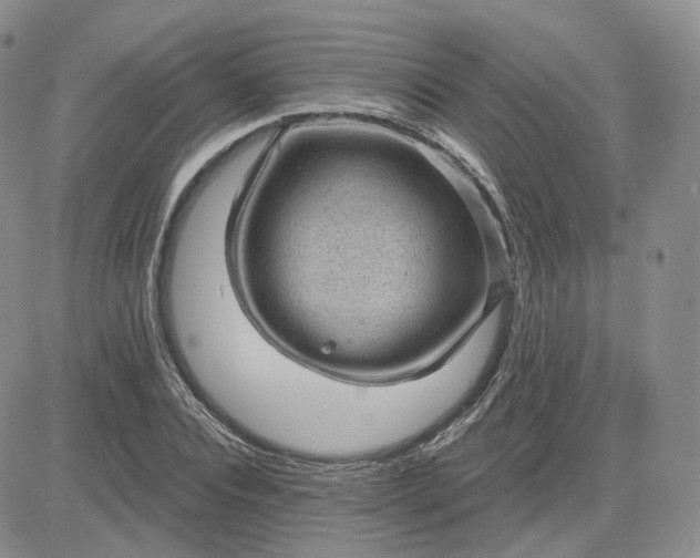 X0000083650928200702261112