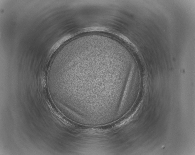 X0000083650929200702261112