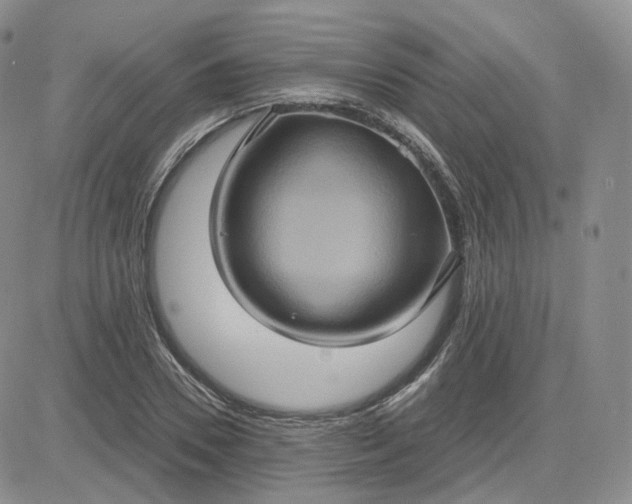 X0000083650930200702261112