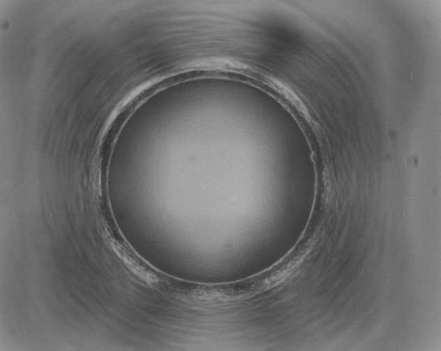 X0000083650931200702261112