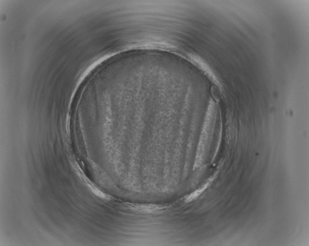 X0000083650932200702261112