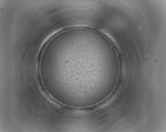 X0000083650933200702261112