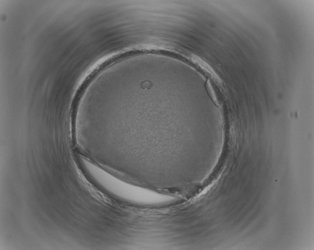 X0000083650934200702261112