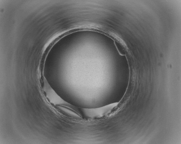 X0000083650936200702261112