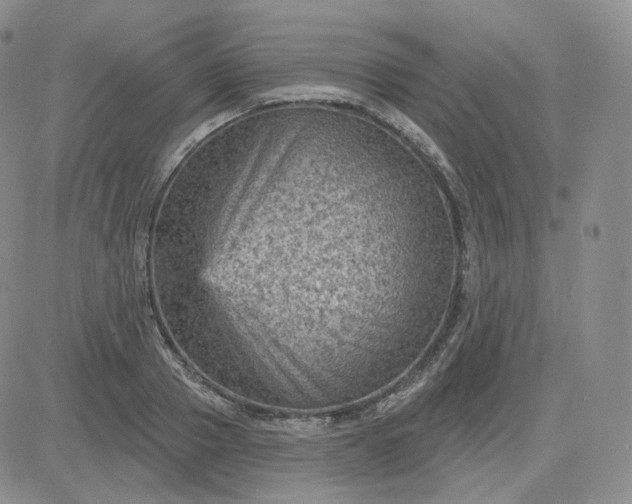 X0000083650937200702261112