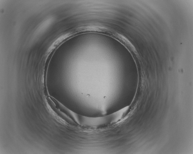 X0000083650938200702261112