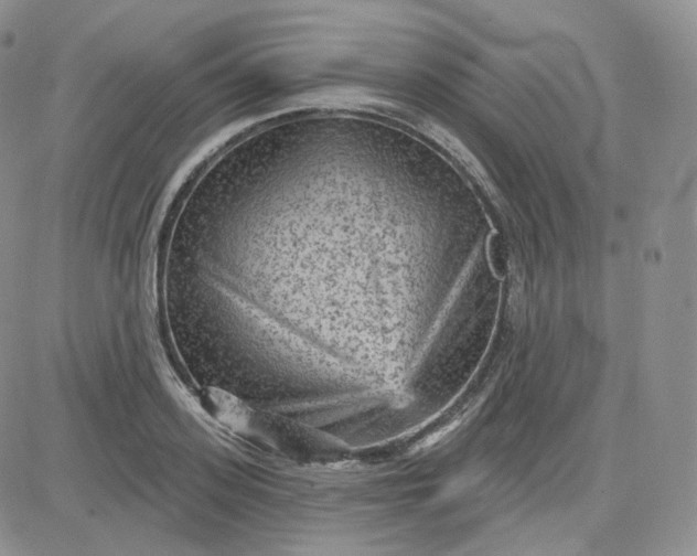 X0000083650939200702261112