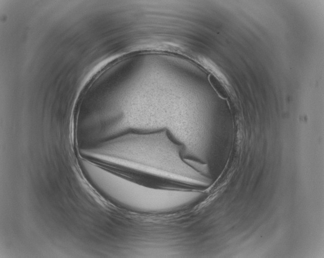 X0000083650940200702261112