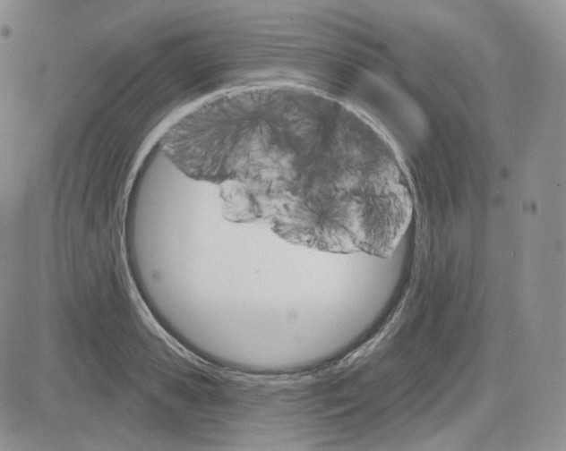 X0000083650941200702261112