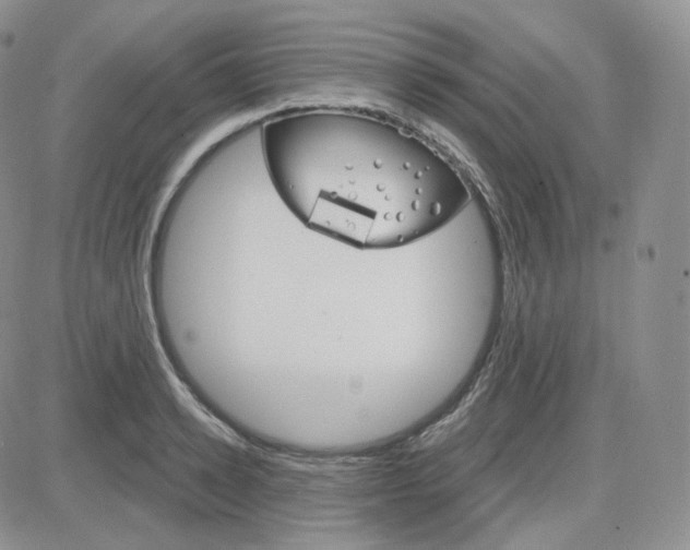 X0000083650942200702261112