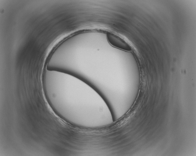 X0000083650943200702261112