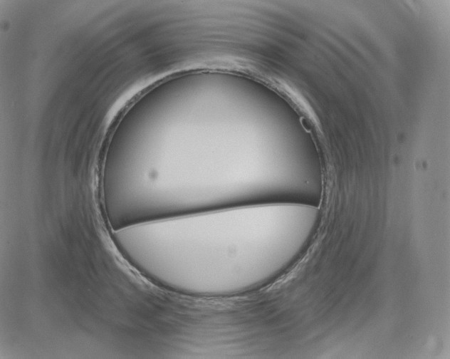 X0000083650944200702261112