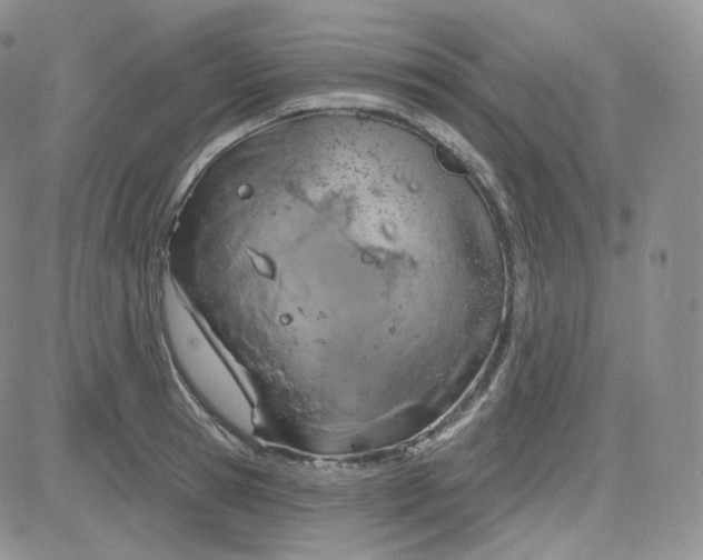 X0000083650945200702261112